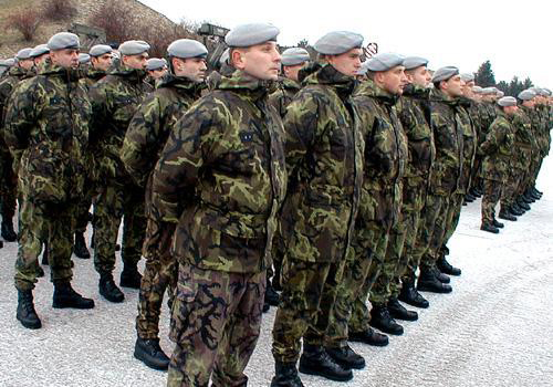 Séc chủ trương tích cực tham gia hoạt động của NATO và EU ảnh 1